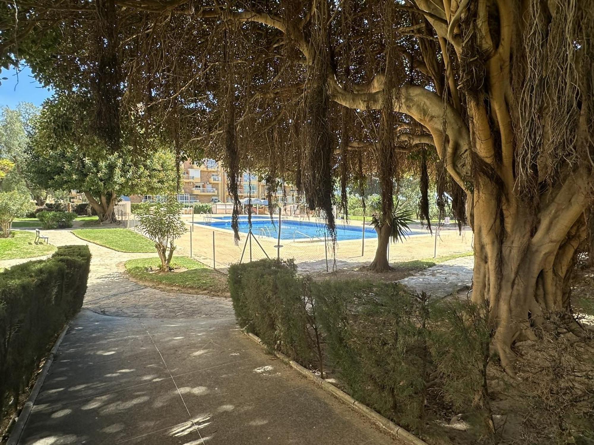 Apartament Estudio Agata Con Piscina A 800m De La Playa *